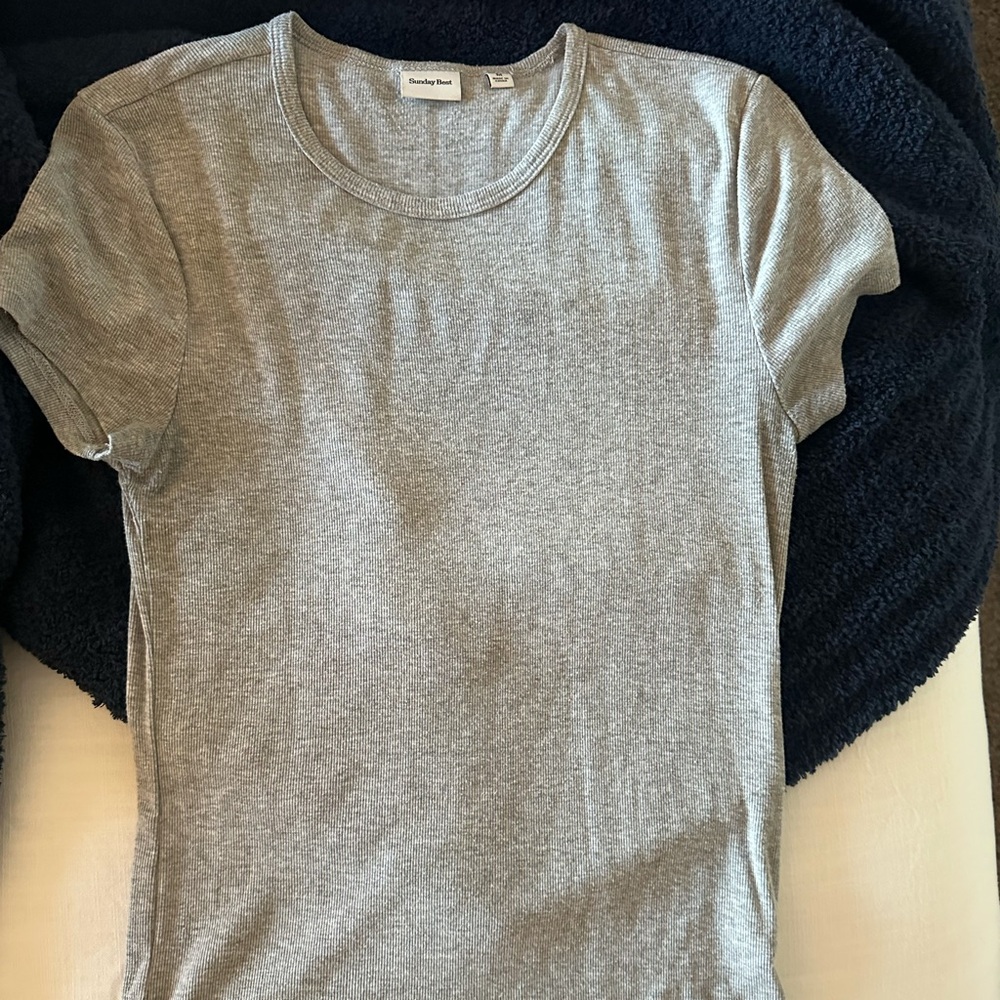 Aritzia Gray Short Sleeve Tee